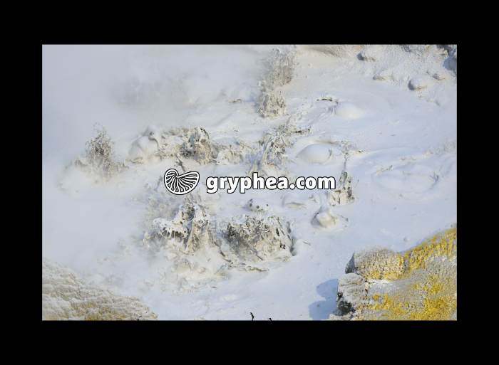 Sulfur Calderon (Yellowstone NP, Wyoming, USA) - gryphea.com